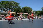Dcim13428/DSC_6483