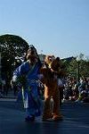 Dcim13431/DSC_6841