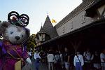 Dcim13431/DSC_6912