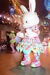 Dcim13446/DSC_8852