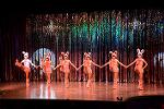Dcim13447/DSC_9016