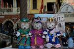 Dcim13460/DSC_0480
