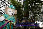 Dcim13462/DSC_0555