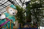Dcim13462/DSC_0557