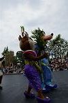 Dcim13463/DSC_0716