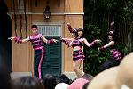 Dcim13464/DSC_0847
