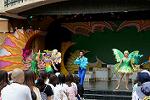 Dcim13465/DSC_1064