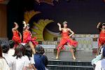 Dcim13465/DSC_1145