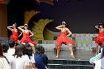 Dcim13465/DSC_1146