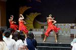 Dcim13465/DSC_1147