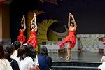 Dcim13465/DSC_1153