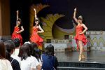 Dcim13465/DSC_1161