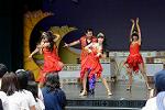 Dcim13466/DSC_1234