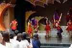 Dcim13466/DSC_1249
