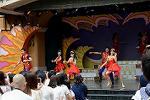Dcim13466/DSC_1256