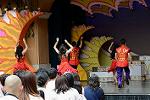 Dcim13466/DSC_1271