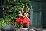 Dcim13466/DSC_1283