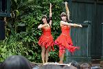 Dcim13466/DSC_1284