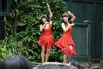 Dcim13466/DSC_1285
