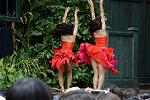 Dcim13466/DSC_1286