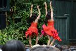 Dcim13466/DSC_1287