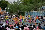 Dcim13467/DSC_1413