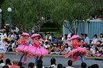 Dcim13467/DSC_1422