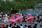 Dcim13467/DSC_1424