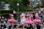 Dcim13467/DSC_1435