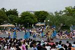 Dcim13467/DSC_1462