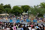 Dcim13467/DSC_1463