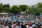 Dcim13467/DSC_1466
