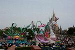 Dcim13468/DSC_1495