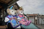 Dcim13481/DSC_6174
