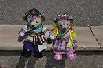 Dcim13484/DSC_6321