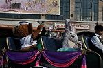 Dcim13486/DSC_6620