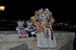 Dcim13489/DSC_7120