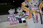 Dcim13489/DSC_7149