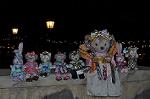 Dcim13489/DSC_7161