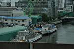Dcim13510/DSC_8915