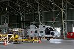 Dcim13516/DSC_2253