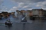 Dcim13534/DSC_0062