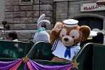 Dcim13536/DSC_4618