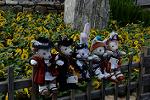 Dcim13539/DSC_4957