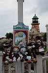 Dcim13543/DSC_5324