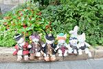 Dcim13544/DSC_5507