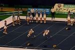 Dcim13545/DSC_5588