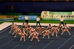 Dcim13547/DSC_6041