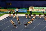 Dcim13547/DSC_6049