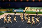 Dcim13550/DSC_6439